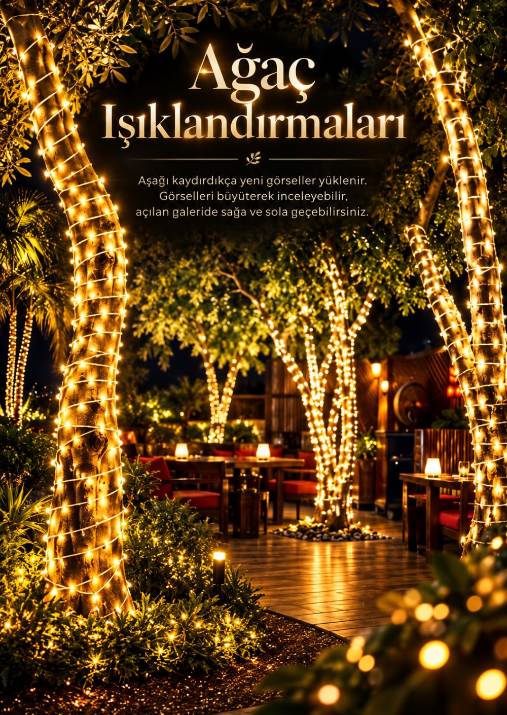 Ağaç Işıklandırmaları kapağı
